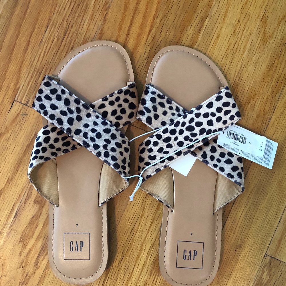 Leopard slides
